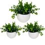 Imagem de 3 Picks de Mini eucalipto folhagem artificial com vaso