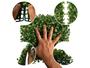 Imagem de 3 Placas de grama Artificial - Buxinho 25X25 para jardins internos no estilo faça você mesmo - DE27095