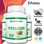 Imagem de 3 Potes Psyllium 120 Cáps - Status Verde