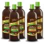 Imagem de 3 Shampoos e 2 Condicionadores Bambu e Queratina 500ml  Yabae 