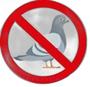 Imagem de 30 Espículas Anti Pombo Espanta Aves - 10 Metros