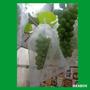 Imagem de 30 Sacos Para Proteção Frutas No Pe Lavável  20x35 cm
