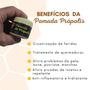 Imagem de 3X Pomada Extrato Própolis BEES BUZZ 30g aroma Maracujá