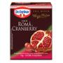 Imagem de 4 chá de romã e cranberry 30 gramas dr. oetker
