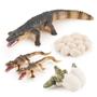 Imagem de 4 PCS Vida Selvagem Vida Selvagem Animal Figuras Criaturas Modelos de Ação Ciclo de Vida Crocodilo Jacaré Figura Ornamento Bolo Toppers Festa Favorece Suprimentos Brinquedo Cognitivo para Meninos Meninas Criança 5 6 7 8 Anos de Idade