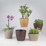 Imagem de 4 un Vaso plantas colmeia decorativo flor G BEGE