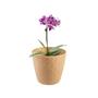 Imagem de 4 un Vaso plantas colmeia decorativo flor G MARROM CLARO
