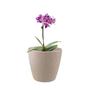 Imagem de 4 un Vaso plantas colmeia decorativo flores G CINZA