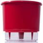 Imagem de 4 Vaso Raiz Autoirrigavel 21Cm Vermelho Área Interna Externa