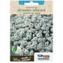 Imagem de 4X Sementes Alyssum Tapete De Neve (Odorant) TOPSEED