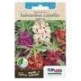 Imagem de 4X Sementes Balsamina Camélia (Sortida) TOPSEED