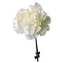 Imagem de 4X Sementes de Cravo Chabaud (Branco) TOPSEED