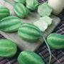 Imagem de 4X Sementes de Maxixe Liso Gibão TOPSEED