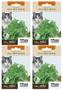 Imagem de 4X Sementes Erva Dos Gatos (Nepeta Cataria) Catnip TOPSEED