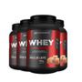 Imagem de 4x whey protein de doce de leite 900g hf suplements