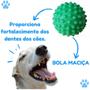 Imagem de 5 Bola Brinquedo Para Border Collie Golden Pug Poodle Bolinhas De Morder