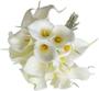 Imagem de 5 Buquê Hastes Flores Copos de leite 35cm Branca Toque Real