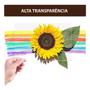 Imagem de 5 Folhas Acetato Transp Pet 120 Mts X 62 Cm Com 0,70 Mm