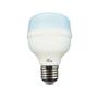 Imagem de 5 Lâmpada 20W Led 6.500K Bivolt E27 Kian