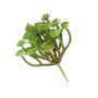Imagem de 5 Planta artificial suculenta folhagem de falsa para decoração faça você mesmo e jardim - sem vaso