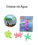 Imagem de 5 UN Brinquedos Crescem na água. Ideal para lembrancinhas de Festas e Presentear Crianças.