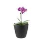 Imagem de 5 un Vaso plantas colmeia decorativo flor G Preto