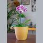 Imagem de 5 un Vaso plantas colmeia decorativo flores G MARROM CLARO