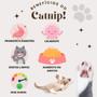 Imagem de 5 Uni Brinquedo com Cat Nip Para Gato Abacate Interativo Divertido