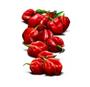 Imagem de 50 Sementes De Pimenta Habanero Red