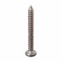 Imagem de 50 Un Parafuso Inox Atarraxante Panela Phillips 5,5 X 13mm