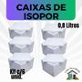 Imagem de 6 Caixas de Isopor EPS 0,8 litros para sorvetes e medicamentos