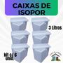 Imagem de 6 Caixas de Isopor EPS 3 litros para latas, sorvetes e medicamentos