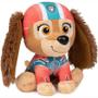 Imagem de 6 Pelúcias Paw Patrol Skye e Everest - Brinquedo Infantil