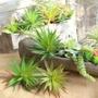 Imagem de 6 Suculentas Planta Artificial que Imita a Natureza Folhagem Realista Artificial Para Banheiro