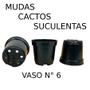 Imagem de 60 mini Vasos Pote 6 Para Mini Cactos E Suculentas artesanato 80 ML