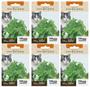 Imagem de 6X Sementes Erva Dos Gatos (Nepeta Cataria) Catnip TOPSEED