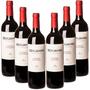 Imagem de 6X Vinho Argentino Benjamin Nieto Cabernet 750Ml