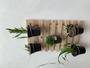 Imagem de 7 Suporte Anel 12cm Com Encaixe P/ Pallet, Treliça Sem Vaso