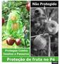 Imagem de 75 Saquinho organza protegue fruta no pé 17x23 cm ecologica
