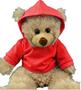 Imagem de A camiseta vermelha com capuz Teddy Bear Clothes serve para bichos de pelúcia de 14 a 18 cm