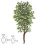 Imagem de A.FICUS X1008 (VERDE CREME) 2,1m (FLORARTE) Vol. 15,17