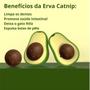 Imagem de Abacate Brinquedo Para Gatos Com Catnip Erva Gato Natural Pet