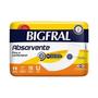 Imagem de Absorvente bigfral regular c/20