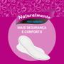 Imagem de Absorvente Intimo Suave Com Abas Max Noturno 16un Evergreen