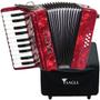 Imagem de Acordeon 8 Baixos 22 Teclas + Bag Extra Luxo Ega8b Eagle