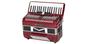 Imagem de Acordeon michael acm8007n 80 baixos