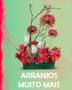 Imagem de Acqua Flor Bloco 8 G - cx com 3 unidades de 23x20x27cm