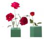 Imagem de Acqua Flor Bloco 8 G - cx com 3 unidades de 23x20x27cm