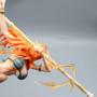 Imagem de Action Figure Nami One Piece 29 Cm Boneca Anime com Caixa Estatueta Colecionavel