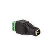 Imagem de Adaptador Borne Plug P4 - Fêmea